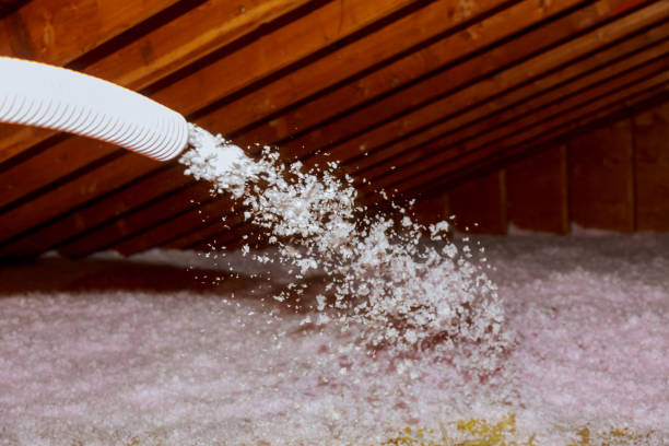 Best Residential Insulation Services  in , AL