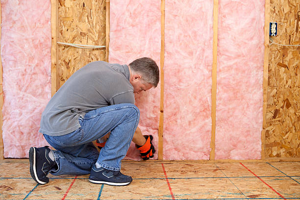 Best Local Insulation Services  in , AL